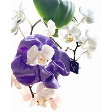 Ibolya lila Szatén Hajgumi - Rubin Világ